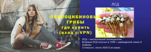 хмурый Горнозаводск