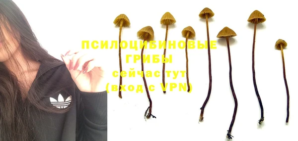 меф Горняк