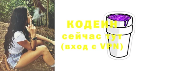 прущий лед Горно-Алтайск